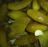 Recipes for quick preparation of lightly salted crispy cucumbers in a saucepan in a cold and hot way with garlic and spices Recipe with step-by-step photos of preparing lightly salted delicious cucumbers
